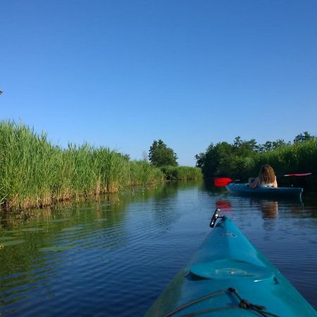 B&B De Zilverreiger Belt-Schutsloot Eksteriør billede