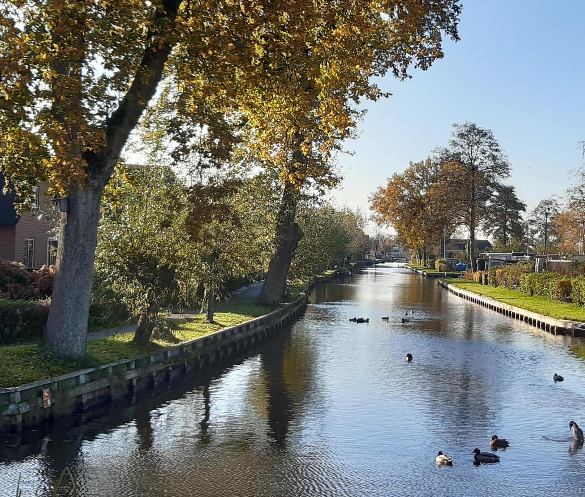 B&B De Zilverreiger Belt-Schutsloot Eksteriør billede